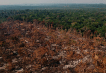 Mudanças climáticas na Amazônia