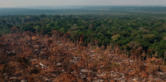 Mudanças climáticas na Amazônia