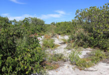 Reunião do Commads apresenta Plano de Recuperação de Áreas Degradadas na segunda-feira (25)