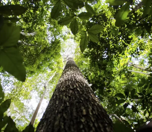 Destaques climáticos da semana