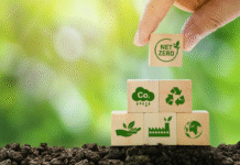 COP30 anuncia calendário de dias temáticos e convida o mundo para Belém