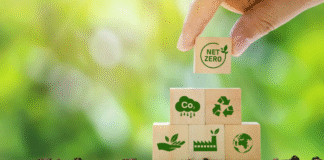 COP30 anuncia calendário de dias temáticos e convida o mundo para Belém