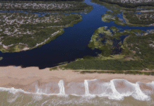 Exploração do pré-sal em Macaé (RJ) é ameaça para maior área contínua de restinga do Brasil