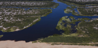 Exploração do pré-sal em Macaé (RJ) é ameaça para maior área contínua de restinga do Brasil