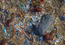 O impacto para saúde humana e para o planeta da poluição de 50 milhões de toneladas de microplástico por ano