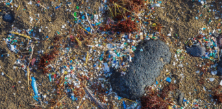 O impacto para saúde humana e para o planeta da poluição de 50 milhões de toneladas de microplástico por ano