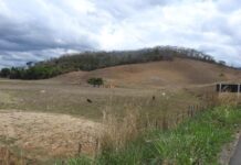 Muriaé, um rio na Mata Atlântica