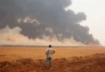 Modelo econômico que privilegia o agronegócio empurra a população para a fome, dizem pesquisadores