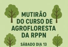 Mutirão do Curso de Agrofloresta da RPPN
