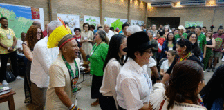 Povos tradicionais e indígenas da bacia amazônica resistem aos megaprojetos