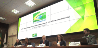 Conama aprova regras gerais para supressão autorizada de vegetação nativa no país