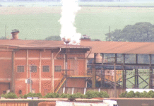 Usina é condenada a pagar R$ 2,4 milhões por morte de abelhas no interior de SP