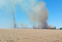 Guarani e Kaiowá voltam à retomada na TI Guyraroká e sofrem ataque; ONU e CIDH são acionadas