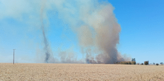 Guarani e Kaiowá voltam à retomada na TI Guyraroká e sofrem ataque; ONU e CIDH são acionadas