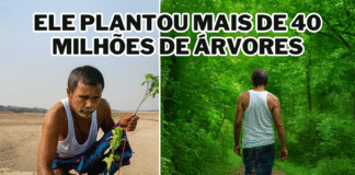 Um homem sozinho plantou mais de 40 milhões de árvores e criou uma floresta de 550 hectares, maior que o Central Park em Nova York e considerada uma das maiores obras individuais da história da humanidade
