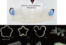 Plástico de bambu atinge resistência industrial, é reciclável e biodegradável