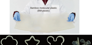 Plástico de bambu atinge resistência industrial, é reciclável e biodegradável