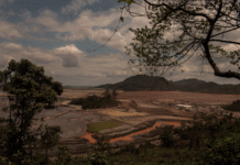 O desastre do Rio Doce como espelho da impunidade corporativa