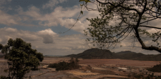 O desastre do Rio Doce como espelho da impunidade corporativa