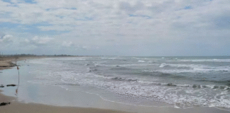 Praia do Litoral Norte lidera ranking nacional de microplásticos altamente tóxicos