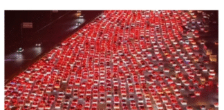 O Planeta em Colapso: Ecologia Marxista e o Futuro da Humanidade