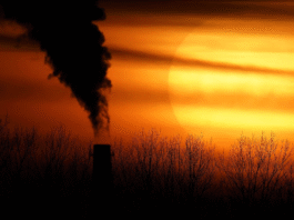 Salto recorde de CO2 atmosférico alimenta temores de aquecimento global acelerado