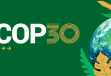 Cientista da Fiocruz sintetiza o maior desafio da COP30