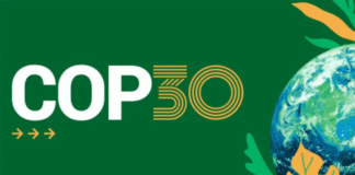 Cientista da Fiocruz sintetiza o maior desafio da COP30