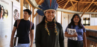 Sistemas de conhecimento indígenas devem ser admitidos como ciência essencial à biodiversidade