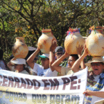 Berço das águas do Brasil e América do Sul, o Cerrado e seus povos ficam fora da COP30