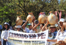 Berço das águas do Brasil e América do Sul, o Cerrado e seus povos ficam fora da COP30