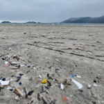 Maioria das praias do Brasil está poluída por microplásticos
