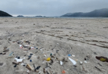 Maioria das praias do Brasil está poluída por microplásticos
