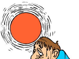 Campos dos Goytacazes: um massacre da serra elétrica em uma cidade despreparada para o colapso climático. Isso não é nada bom!