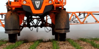 Lixeira química: “É uma vergonha o Brasil comprar agrotóxicos perigosos, banidos em outros países, e que aqui nem pagam impostos”, alerta especialista