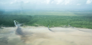 Mar avança pela foz do rio Amazonas e água de beber fica salgada