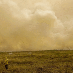 Calor já mata meio milhão de pessoas por ano, alertam cientistas