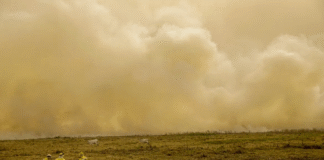 Calor já mata meio milhão de pessoas por ano, alertam cientistas