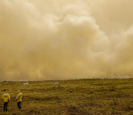 Calor já mata meio milhão de pessoas por ano, alertam cientistas