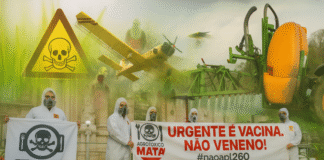 Parecer técnico identifica graves riscos à saúde de centenas de agrotóxicos banidos na Europa e vendidos legalmente no Brasil