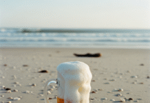 Porto do Açu: oscilando entre a miragem e o fato