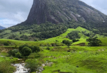 MPRJ investiga destruição em área de preservação em Macaé