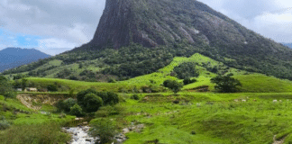 MPRJ investiga destruição em área de preservação em Macaé