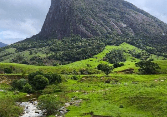 MPRJ investiga destruição em área de preservação em Macaé