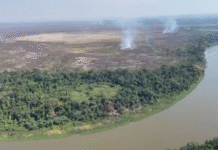 Pantanal é bioma com maior taxa de aquecimento, diz pesquisa