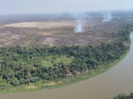 Pantanal é bioma com maior taxa de aquecimento, diz pesquisa