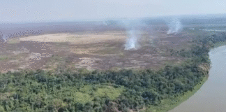 Pantanal é bioma com maior taxa de aquecimento, diz pesquisa