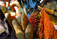 Sem peixe nem tapioca: mudança na alimentação ameaça cultura e saúde de ribeirinhos da Amazônia