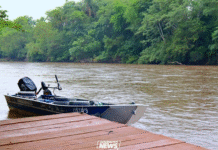 Piracema tem início e pesca passa a ser proibida nos rios de MS a partir desta quarta