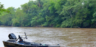 Piracema tem início e pesca passa a ser proibida nos rios de MS a partir desta quarta